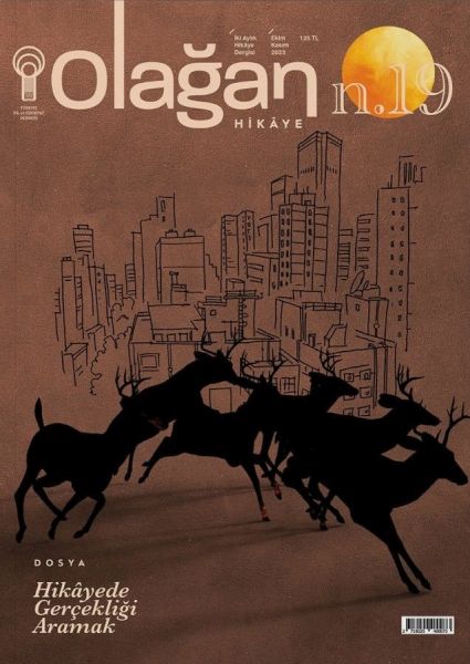 Olağan Hikaye 19. Sayı