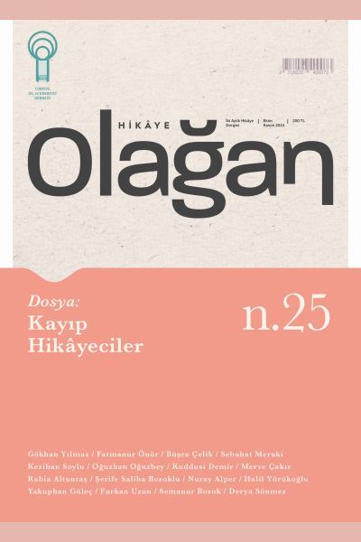 Olağan Hikaye 25. Sayı