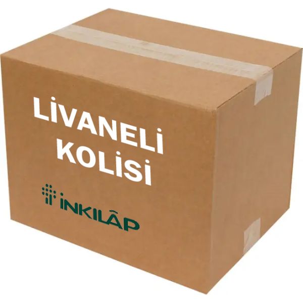 Livaneli Kolisi 21 Kitap 72 Adet