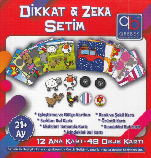 Dikkat ve Zeka Setim 21 Ay