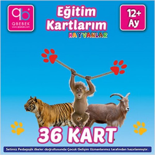 Eğitim Kartlarım Hayvanlar 12 Ay
