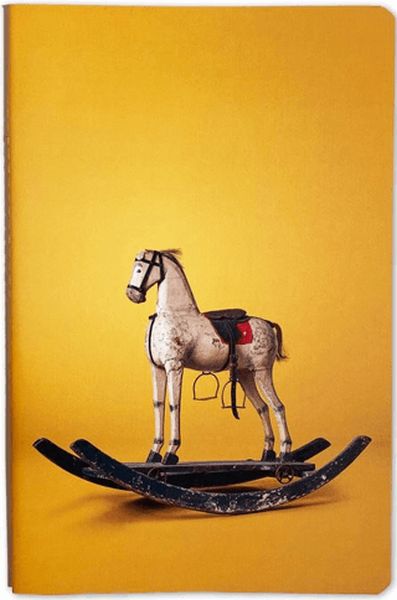 Nesin Defter Sallanan At