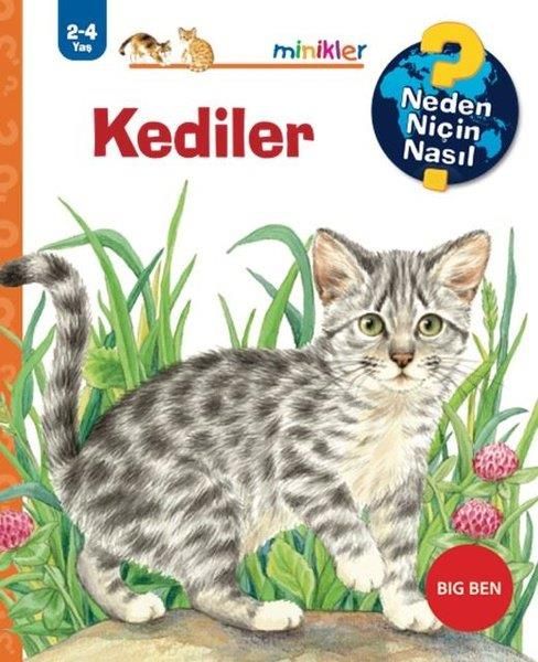 Kediler Neden Niçin Nasıl 2 4 Yaş