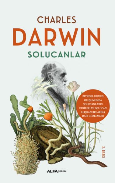 Solucanlar Bitkisel Humus Oluşumunda Etkileri ve Solucan Alışkanlıklarına Dair Gözlemler