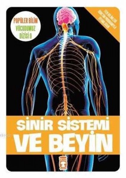 Sinir Sistemi ve Beyin Vücudumuz Dizisi