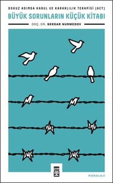 Büyük Sorunların Küçük Kitabı