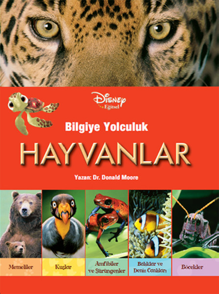 Disney Eğitsel Bilgiye Yolculuk Hayvanlar