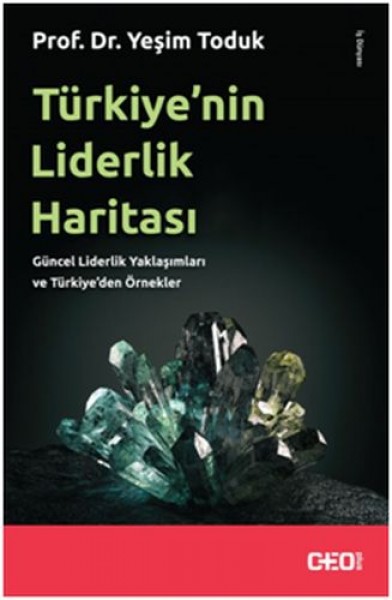 Türkiye'nin Liderlik Haritası