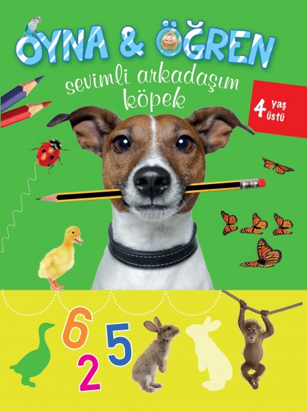 Oyna Öğren Sevimli Arkadaşım Köpek 4 Yaş Üstü