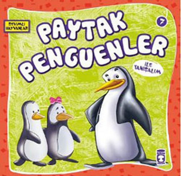 Sevimli Hayvanlar Paytak Penguenler