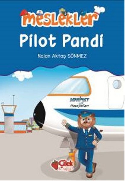 Pilot Pandi Meslekler