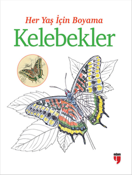 Her Yaş İçin Boyama Kelebekler