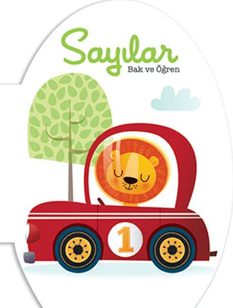 Bak ve Öğren Sayılar