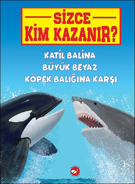 Sizce Kim Kazanır Katil Balina Büyük Beyaz Köpek Balığına Karşı