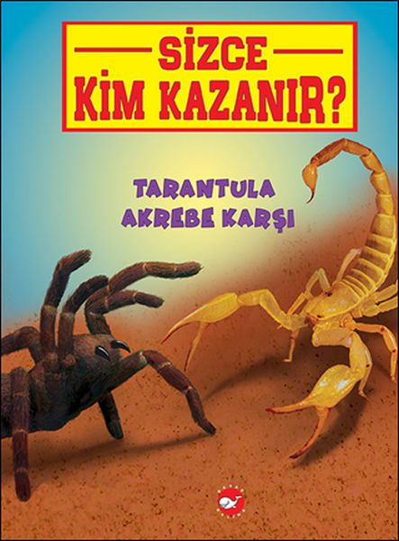 Sizce Kim Kazanır Tarantula Akrebe Karşı
