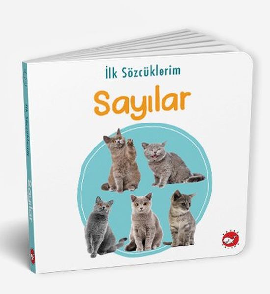 İlk Sözcüklerim Sayılar