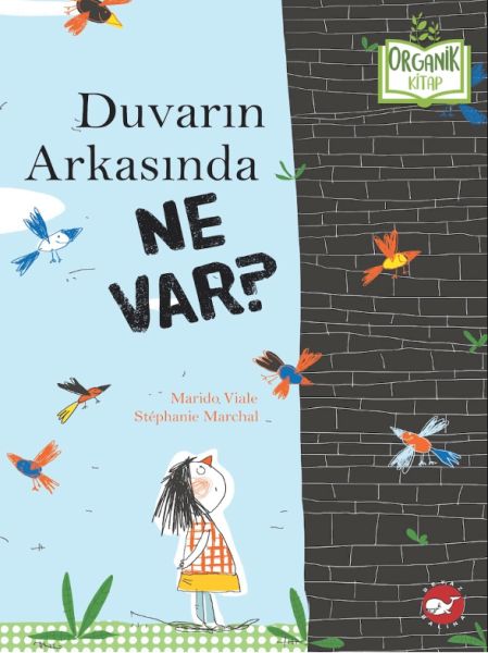 Duvarın Arkasında Ne Var Organik Kitaplar