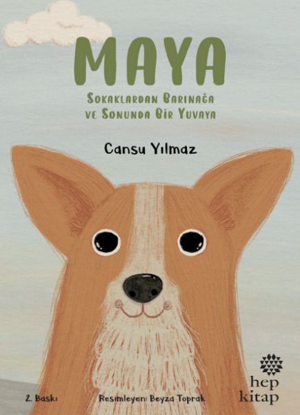 Maya Sokaklardan Barınağa ve Sonunda Bir Yuvaya