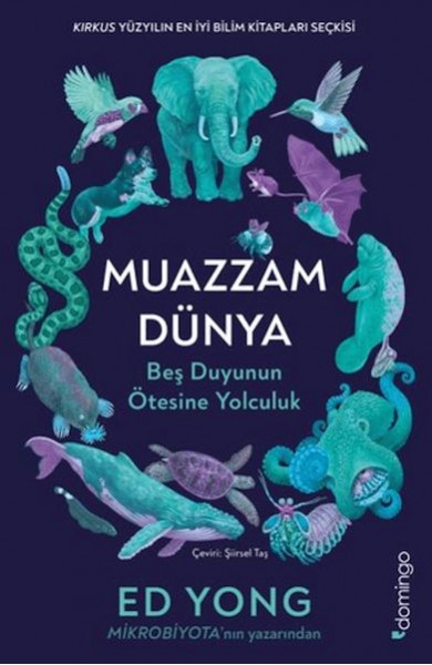 Muazzam Dünya Beş Duyunun Ötesine Yolculuk